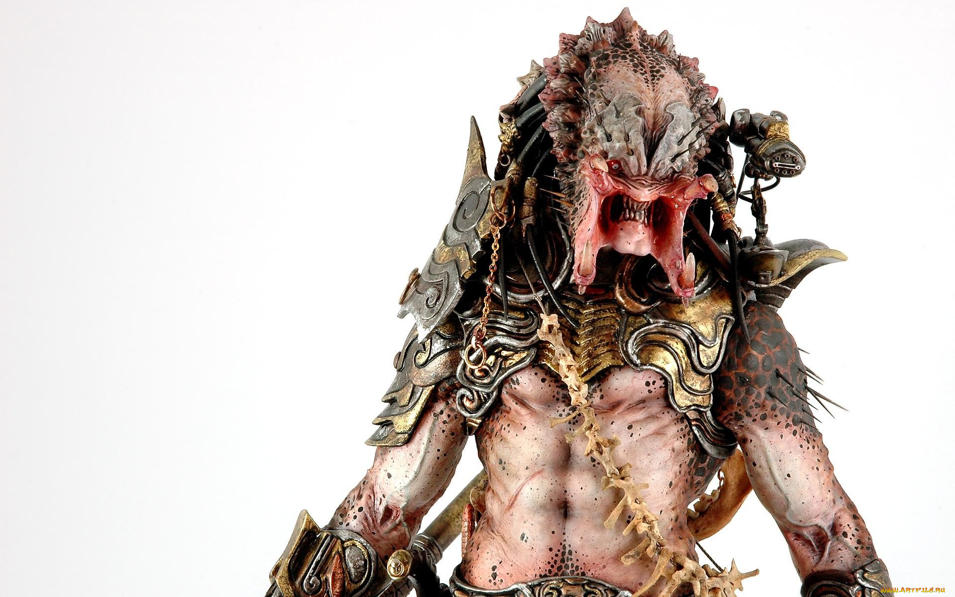 predator, , , , 